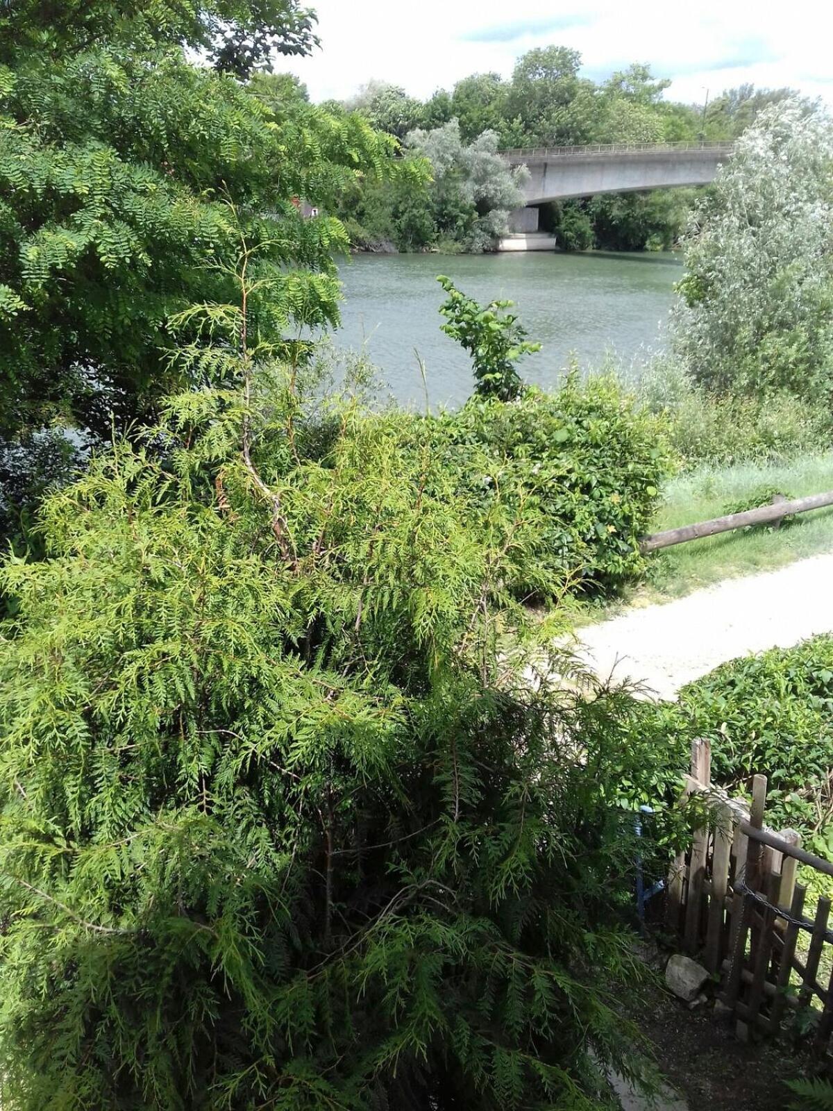 L'Escapade 3 Etoiles Villa Champagne-sur-Seine ห้อง รูปภาพ